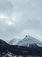 Fototapeta premium Vertical view of a sharp, snow-dusted mountain peak rising above a dense dark forest ridge under a cloudy, atmospheric winter sky in Tierra del Fuego, Argentina.