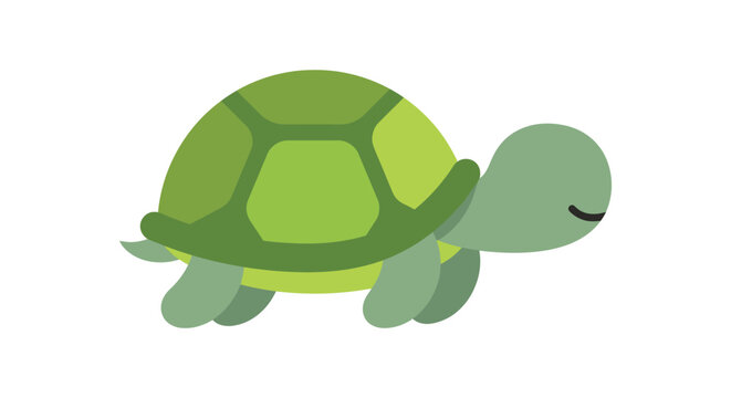 Green turtle illustration features a simplified flat design with a white background