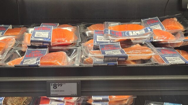 Chantilly, Virginia, USA &ndash; September 13, 2026: Chilled Atlantic salmon fillets in a supermarket. Portioned pieces of fresh red fish in vacuum packaging with price tags are displayed on the shelf