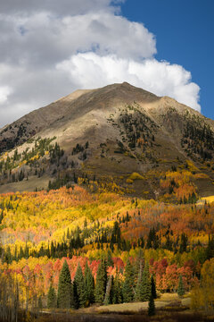 Fall colors at Gothic Mountain near Crested Butte Colorado