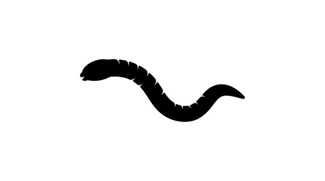 Worm silhouette against a white background simple invertebrate form