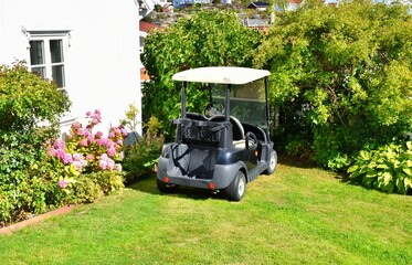 A dark blue golf cart stands on the green lawn of a country house, next to a hydrangea bush. A concept representing luxury leisure, sports, country living, and eco-friendly transport © Natalia