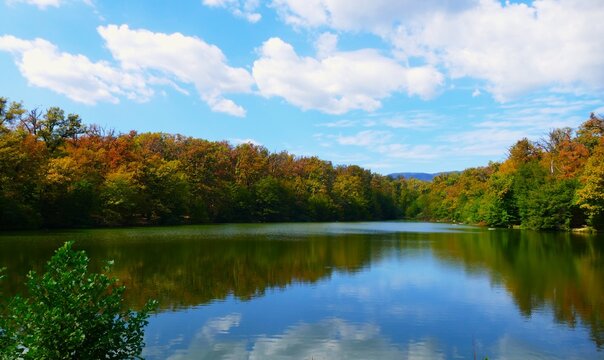 Peaceful lake with autumn colorful trees trees and reflection with white clouds, peaceful destination background