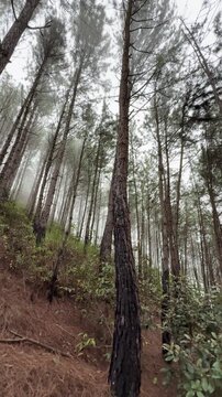 Tarde entre monta&ntilde;as nubladas en invierno Panama