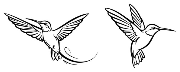 Obraz premium Flying hummingbird line art set, colibri bird tattoo sketch and tropical wildlife logo vector illustration