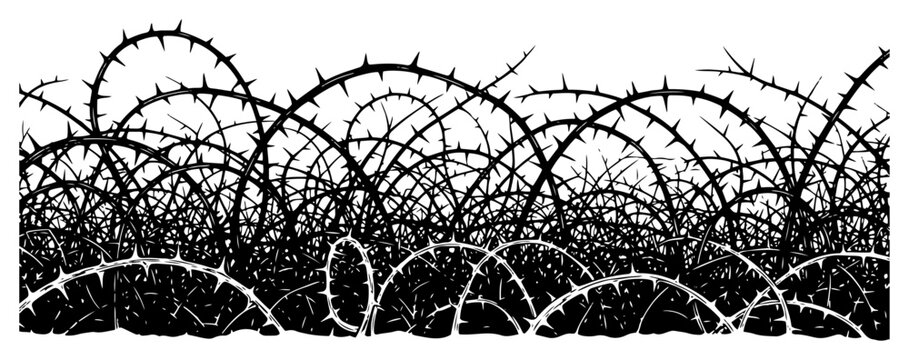 Dense tangled thorn bush thicket border, sharp briar bramble vines silhouette vector illustration