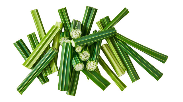 Isolated fresh cut pieces of raw green sugarcane plant stems scattered, close-up texture