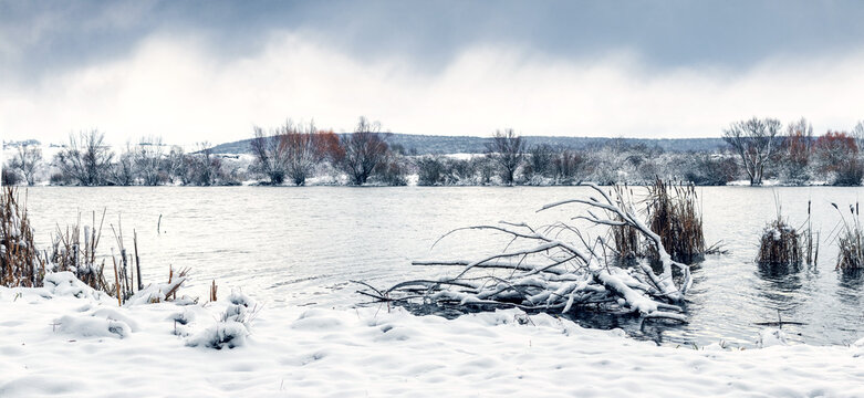 Winter landscape with lake, snow covered driftwood on shore and cloudy sky in background