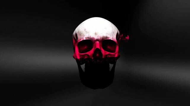 Human skull rotates from front view to side profile against a dark background
