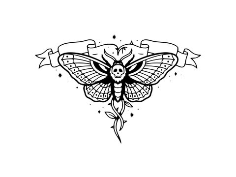 Stylized death head moth vector with skull thorax surrounded by blank ribbon and vines
