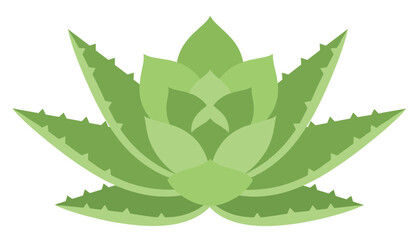 Fototapeta premium Potted succulent plant with thick green leaves and small thorns resembling an aloe vera or agave for home decor.