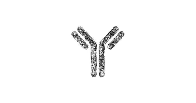 Sketch antibody icon animation - smooth progressive reveal