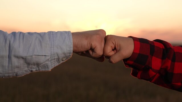 lifestyle, plant, wheat, close-up shot captures, against backdrop green field sunset, two farmers standing cornfield sunset shaking hands, negotiate, man, green, planting, silhouette, rural, talk