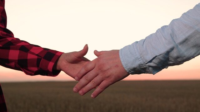 business teamwork, work, business people shake hands outdoor sun, lifestyle handshake workers field wheat sunset, lifestyle, partnership, community, business, farm, partnership cooperation agriculture