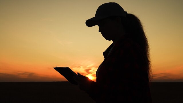 Silhouette woman working digital tablet, young girl sunset, human journey digital technology, twilight colors frame a calm silhouette using technology in nature., dusk reflection with digital device