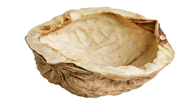 Isolated empty walnut shell halves revealing intricate inner texture and natural rough exterior surface