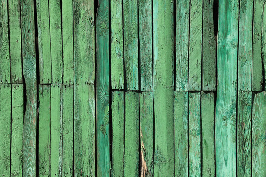 Green fence, backdrop, assembled of pieces. Green surface or covering, faded in the sun, shabby fence (fencing). Wooden boards wall with peeling paint. Green-colored wooden planks texture, background