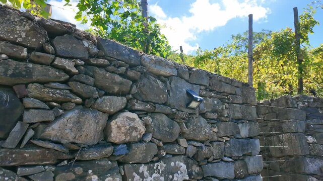 Dry stone wall beside vineyard under blue sky
