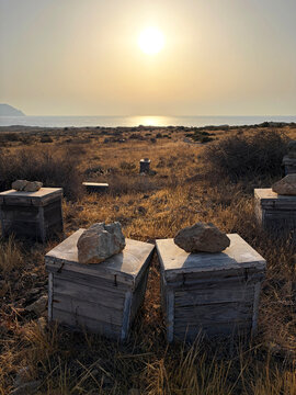 colmenas solitarias aisladas con piedras encima en el campo seco de los escullos cabo de gata  almer&iacute;a amanecer en la costa  IMG_5733-as26