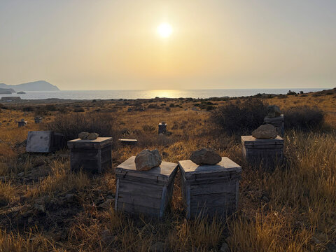 colmenas solitarias aisladas con piedras encima en el campo seco de los escullos cabo de gata  almer&iacute;a amanecer en la costa  IMG_5733-as26