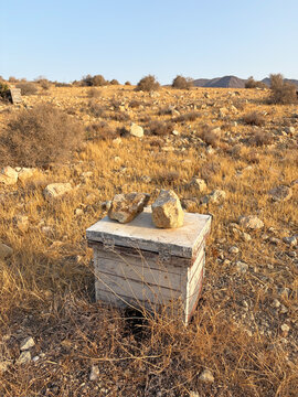 colmena solitaria aislada con piedras encima en el campo seco de los escullos cabo de gata  almer&iacute;a  IMG_5743-as26