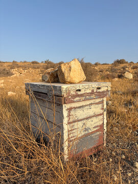 colmena solitaria aislada con piedras encima en el campo seco de los escullos cabo de gata  almer&iacute;a IMG_5746-as26