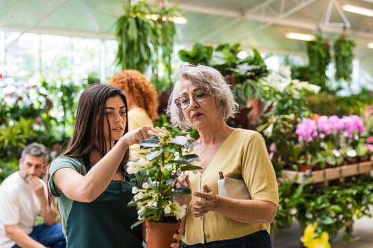 Garden center worker helping senior woman choosing plant