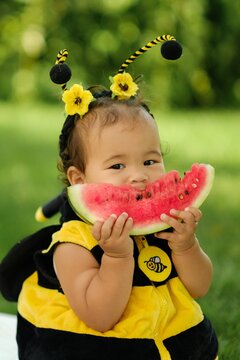 Cute Asian baby in bee costume eating fresh watermelon slice outdoors in park on sunny day