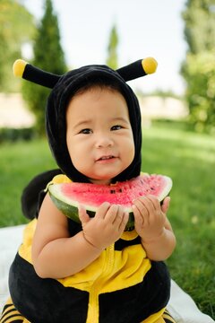 Cute Asian baby in bee costume eating fresh watermelon slice outdoors in park on sunny day