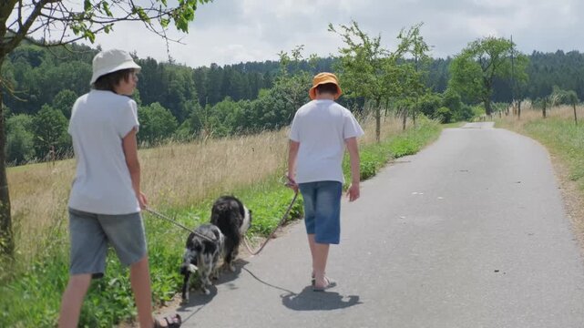 Two teenage boys walking dogs leash country road forest summer day t-shirts shorts hats border collie Australian shepherd merle pet care outdoor activity youth friendship rural landscape