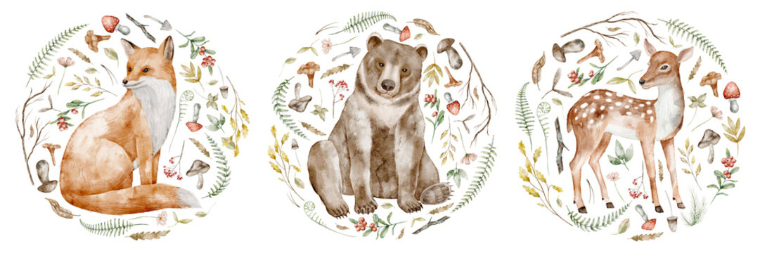 Woodland animals watercolor illustration set with fox, bear and deer in floral circle frames isolated on background. Autumn forest clipart for nursery, baby posters and seasonal designs.