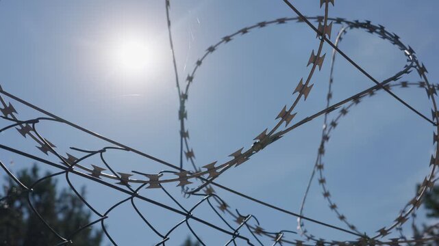 Coiled razor barbed wire hangs atop a chain link security fence under intense bright sunlight. Concept of prison confinement, border defense, surveillance danger, and restricted area safety.