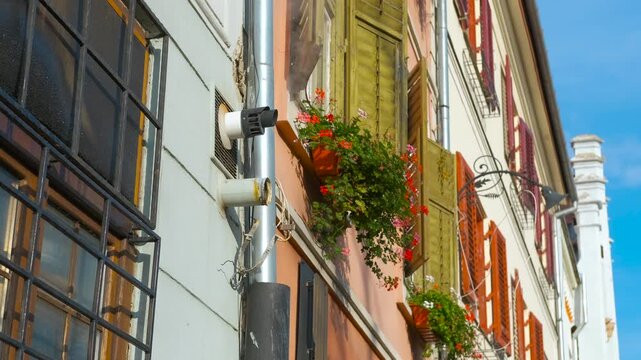 Flowers hanging from window boxes decorating facade. Colorful flowers hang from window boxes, enhancing the building's facade with vibrant hues.
