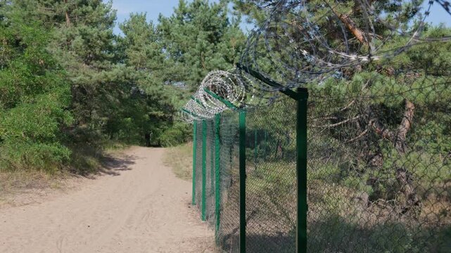 Sharp razor wire coils top a tall metal chain link fence running along a sandy trail in a pine forest. Concept of border surveillance, perimeter security, and restricted territory.