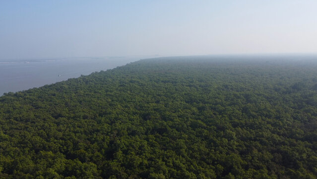 Aerial view of the Sunderbans Ganges Delta featuring dense mangrove forests bordering the river in Kailashganj, Khulna Division, Bangladesh.
