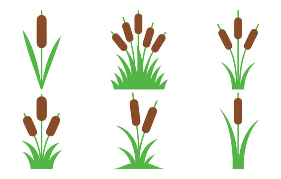 Cattail Plant Icon Set: A collection of stylized graphic icons depicting cattail plants in various arrangements, showcasing their distinctive brown seed heads and green foliage.