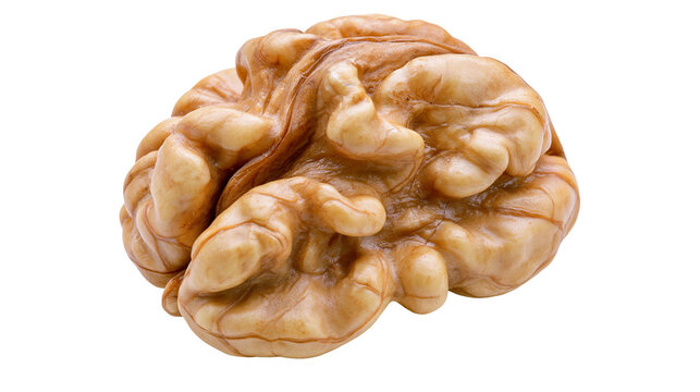 Crinkled textured walnut kernel, isolated on transparent background