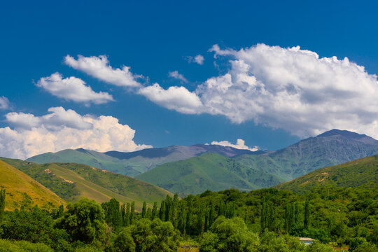 Vibrant Mountain Landscape with Rolling Green Hills in Kyrgyzstan