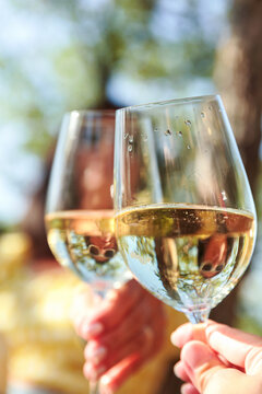 Close up of white wine glasses during an outdoor toast with friends, combining elegant wine lifestyle, summer sunlight and natural scenery