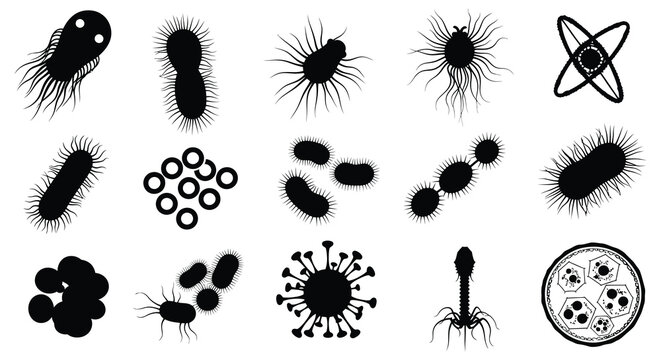 Collection of various bacteria and microorganisms in black silhouette