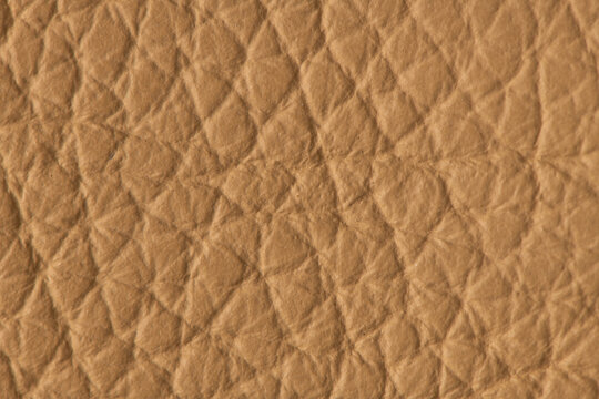 Brown leather texture background with fine grain and natural pattern