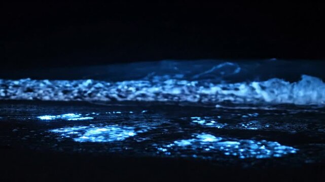 Bioluminescent waves crashing on dark shore at night: glowing blue marine plankton phenomenon bioluminescence