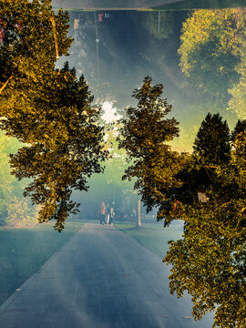 Conceptual Double Exposure of a Park Alleyway with People Walking into a Foggy Parallel Universe, Surreal Nature Reflection