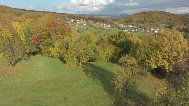 AERIAL: Autumn view over colourful treetops and open meadow leads toward small village nestled among rolling hills. Warm seasonal tones, scattered houses and blue sky with clouds in sunny countryside.