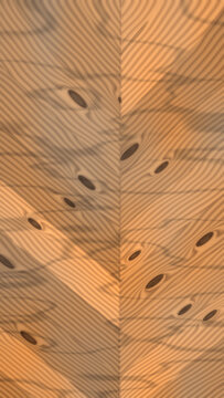 Wood grain texture with knots and central seam