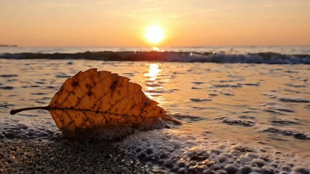 Golden autumn leaf on sandy beach at sunset with gentle ocean waves rolling in fall