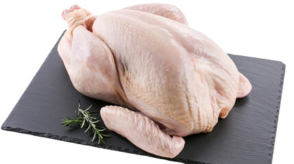 Isolated fresh raw whole chicken on dark slate board with green rosemary ready for cooking © Niamh