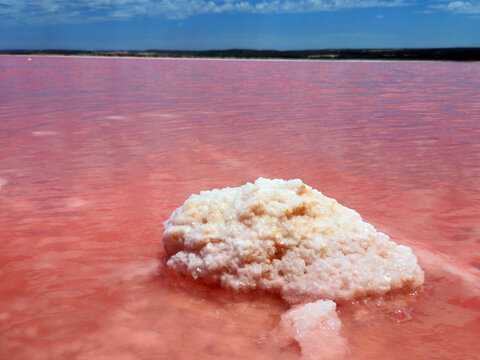Aerial view of Hutt Lagoon Pink Lake showing vibrant pink water and a salt crust formation under a clear blue sky in Yallabatharra, Western Australia, Australia.
