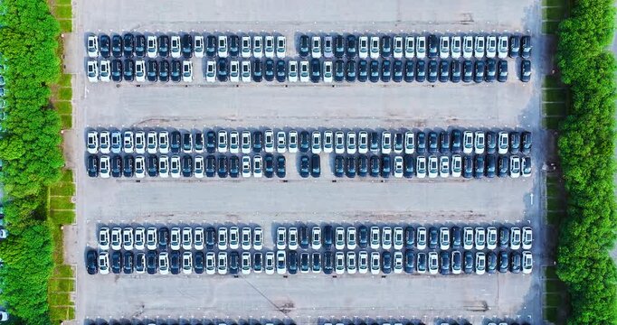Aerial top-down view of organized rows of black and white cars parked on an asphalt lot flanked by green trees in even, bright daylight.
