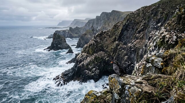 Dramatic coastal cliffs with ocean waves and seabird
